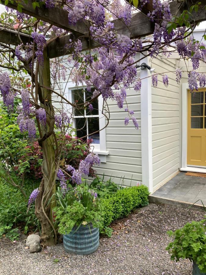 Country Bliss Cottage Greytown Exterior photo